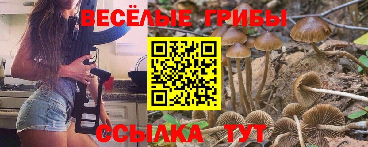 Галлюциногенные грибы MAGIC MUSHROOMS  Вход с VPN  Сокол  Псилоцибиновые грибы Psilocybe 