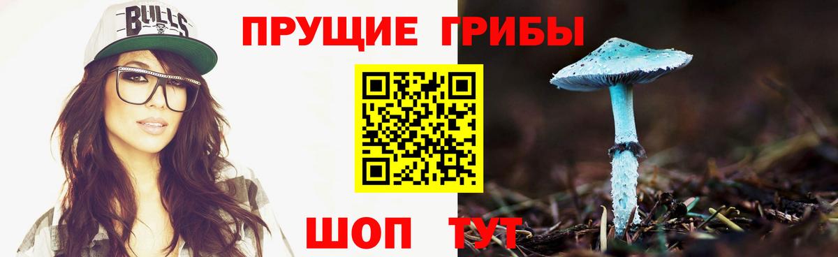 Галлюциногенные грибы Psilocybe Сокол