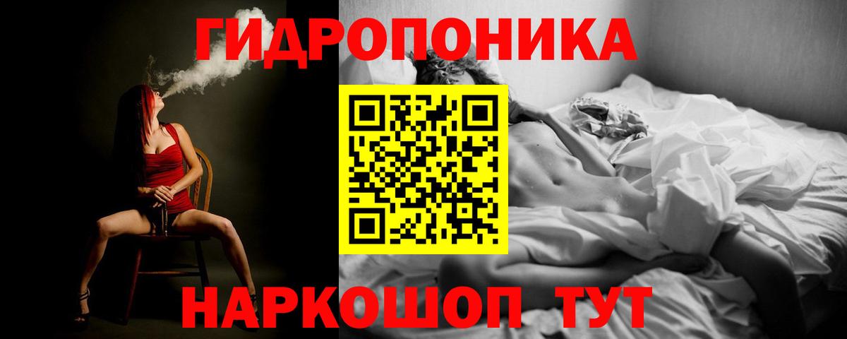 Конопля ГИДРОПОН  Каннабис индика  Сокол  Вход с VPN  Марихуана Ganja 